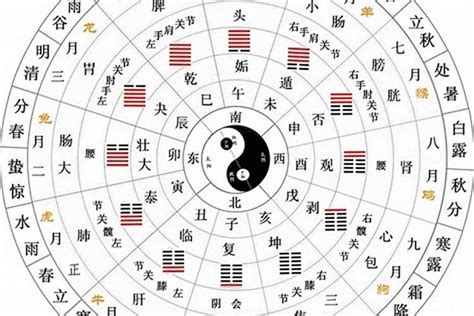 地支天干|天幹地支